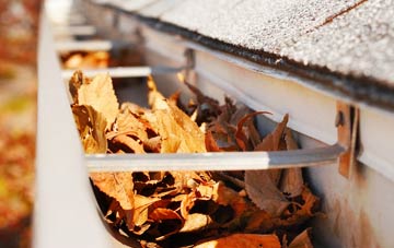 Ilderton gutter cleaning companies