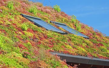 Ilderton living roof systems