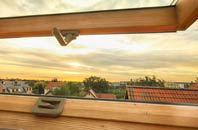 rated Ilderton roof window companies